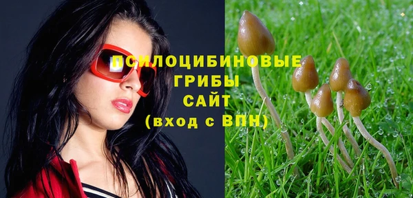 MESCALINE Зеленокумск