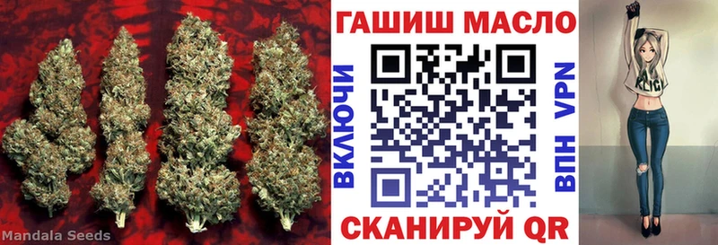 Дистиллят ТГК THC oil  Купить закладки  Завитинск 
