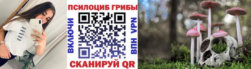 Псилоцибиновые грибы мухоморы  Купить  Завитинск 