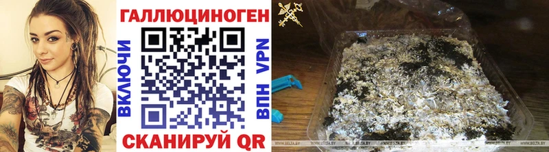 Псилоцибиновые грибы Magic Shrooms Завитинск