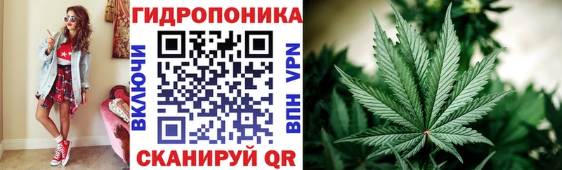 Бошки Шишки SATIVA & INDICA Купить где Завитинск